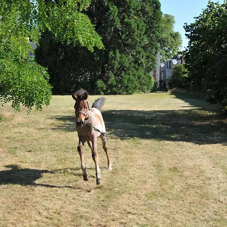 ベッド・アンド・ブレックファスト Chateau De La Chaussee *